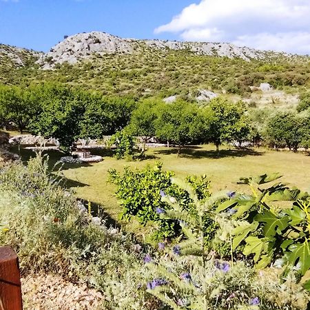 The Garden Of Elais Villa Šibenik Exterior foto