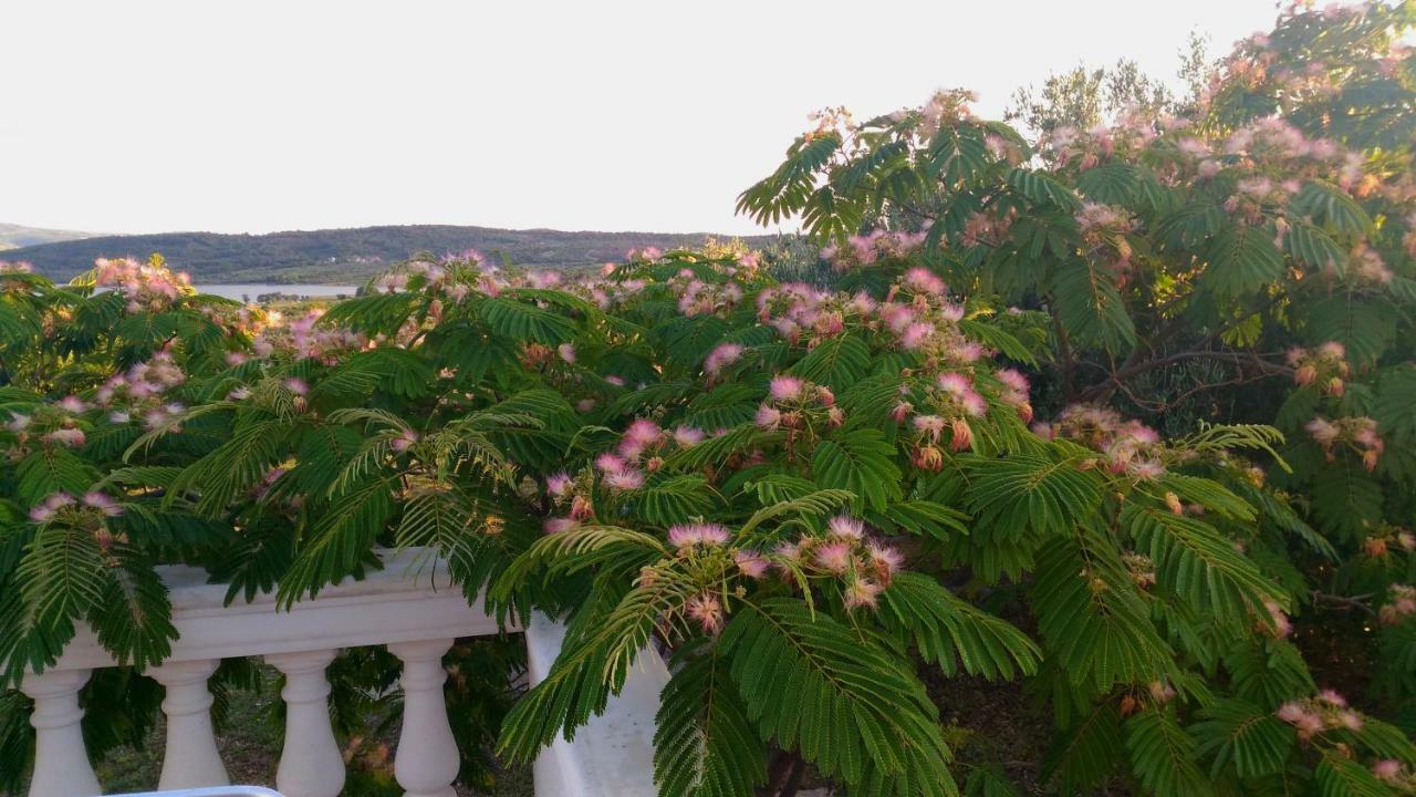 The Garden Of Elais Villa Šibenik Exterior foto